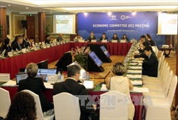 Phiên họp của Ủy ban Kinh tế APEC về thúc đẩy kinh tế 